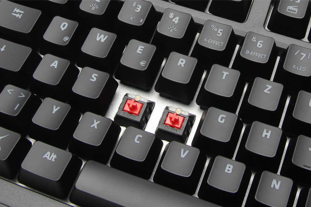 Mechanische Tastaturen Ratgeber Switches, Caps und Co. HardwareHelden